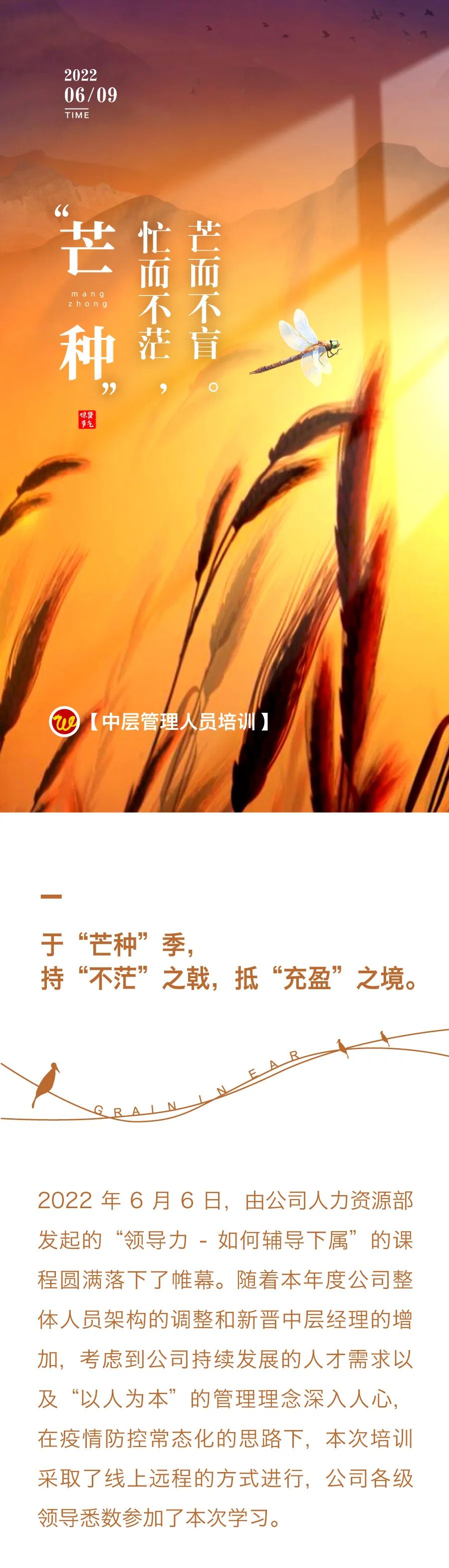 “芒種”忙而不茫，芒而不盲。——中層管理人員培訓(xùn)1.jpg